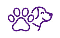 Bring your pet on holiday to G alicia spain